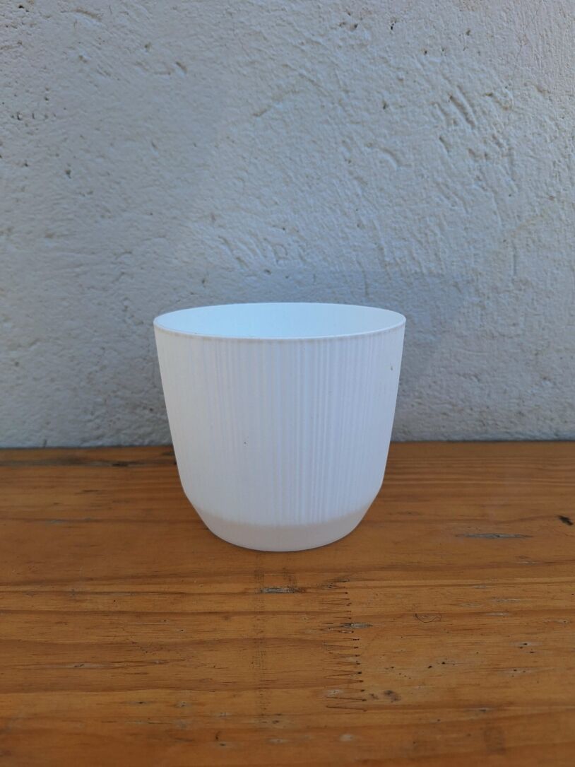 white striped pot 12cm