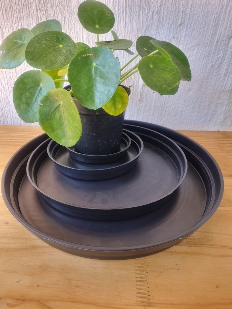 Drip tray (Black plastic)